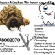 Hundefriseur, Hundesalon, Hundepflege,...